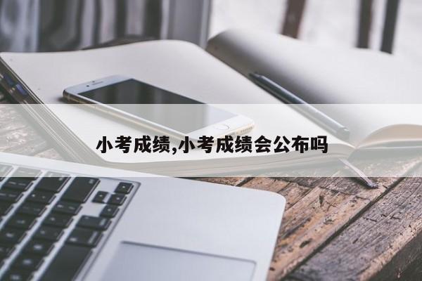 小考成绩,小考成绩会公布吗